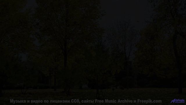Музыка, которая перевернет ваше представление о красоте! - Track 05 -- Berbere Superstar -- The Best