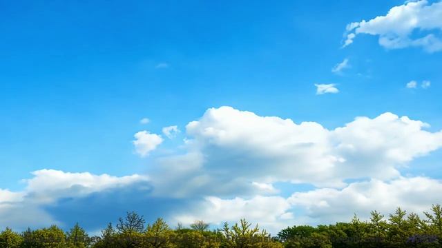 Видео, созданное нейросетью - отличите ли вы его от реальности - Kids -- HoliznaCC0 -- Spring at las