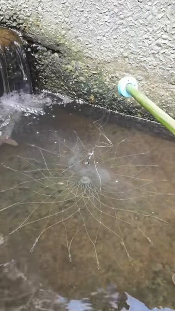 Приспособление для рыбалки