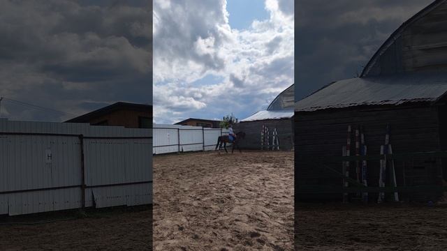 Ульяна и Аквилон, работа с контактом, подготовка к стартам ОСФ А.