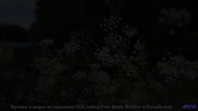 Эти пейзажи и музыка выносят мозг моментально - Find A Way -- Small Tall Order -- Easily