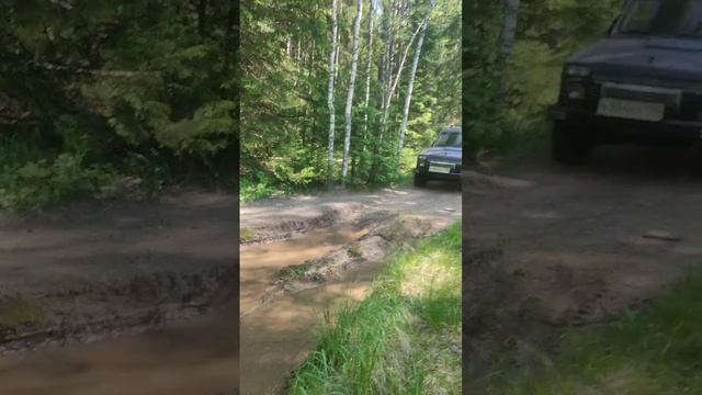 VID_20250615_211622_483.mp4