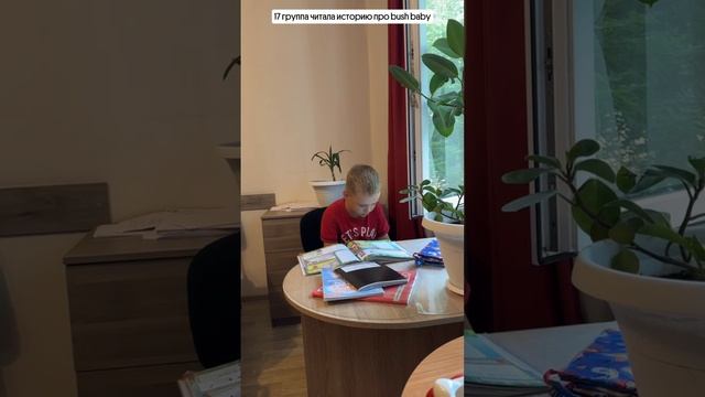 Рубрика моменты с урока:17гр читала историю про bush baby