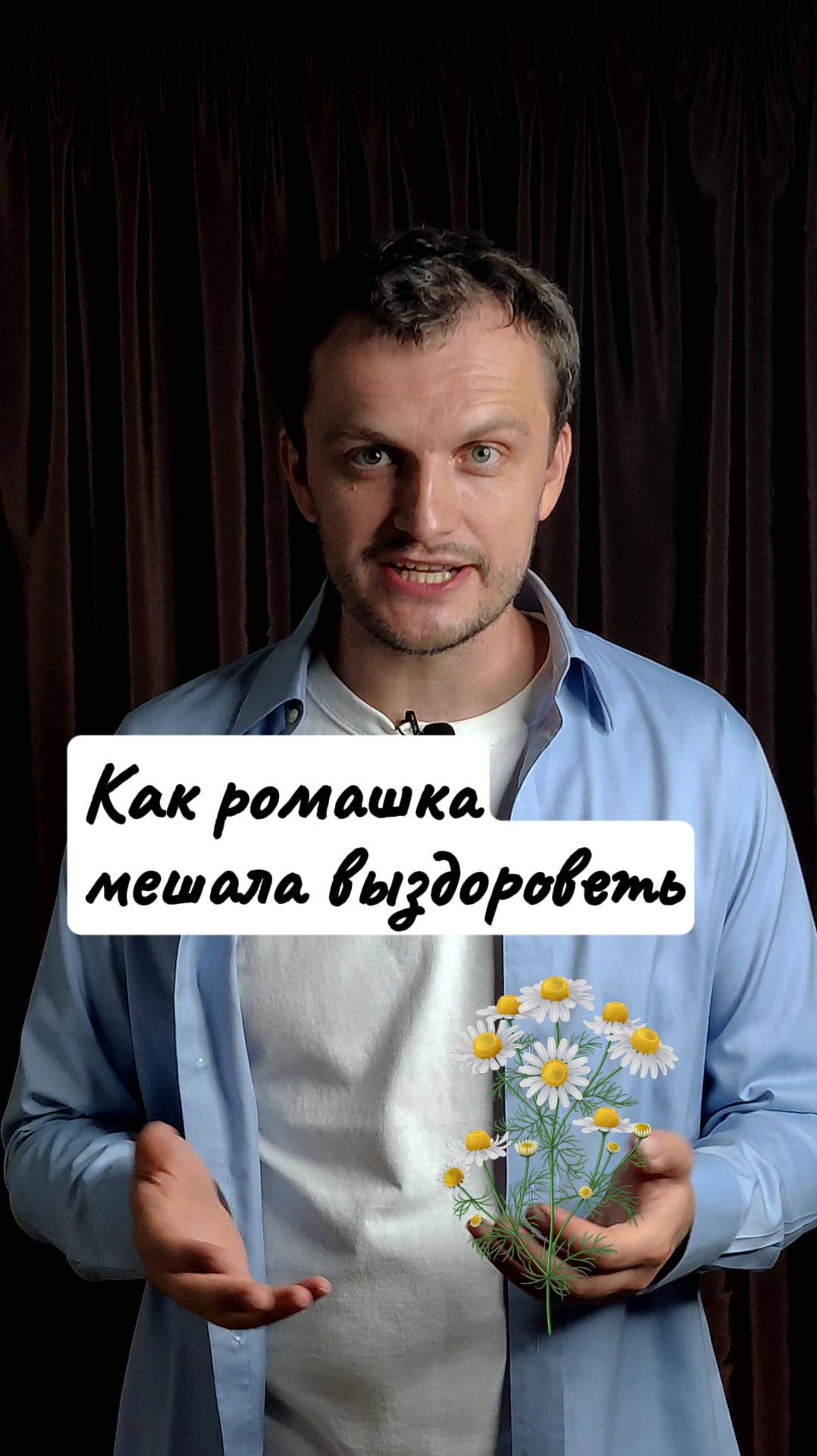 Как ромашка мешала выздороветь