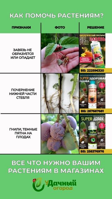 🌱Памятка по болезням растений и помощниками по борьбе💪