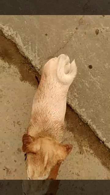 слегка замаралась😜😂