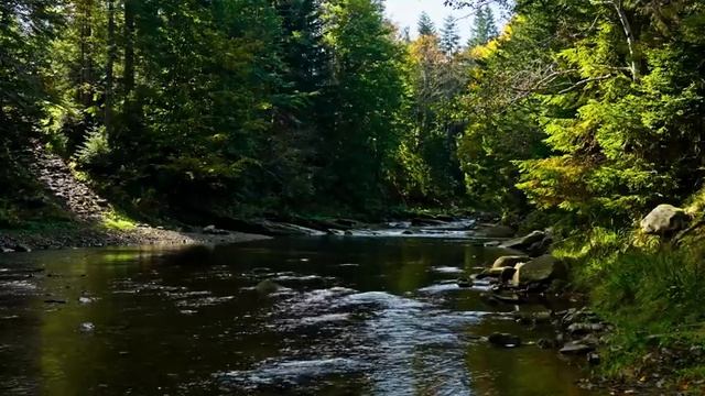 Успокаивающие звуки природы и журчание водички часть 3