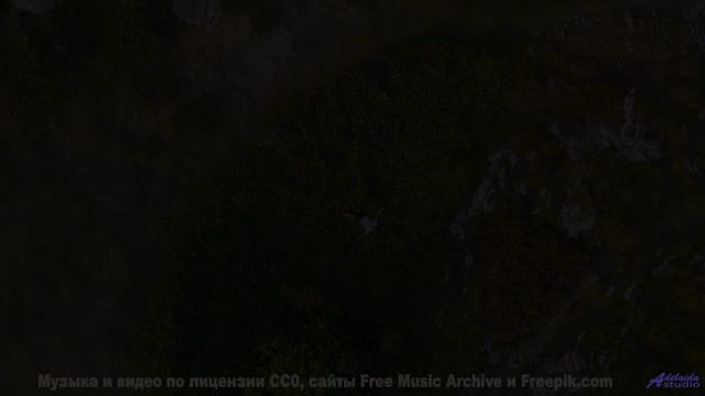 Ты не поймешь, почему раньше не видел этого! - Angel -- Golden Duck Orchestra -- Golden Duck Orchest