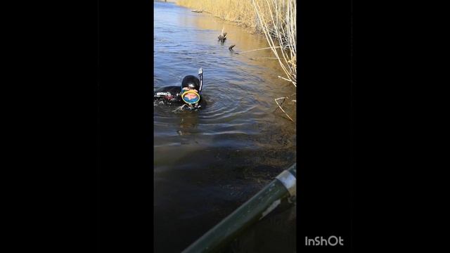 InShot_20250616_180621769.mp4