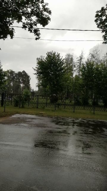 Ливень в середине воскресного июньского дня.