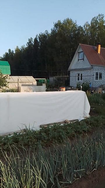 16 июня 2025 года.
