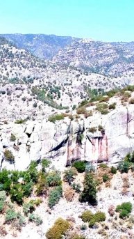 Неожиданные кадры на камеру