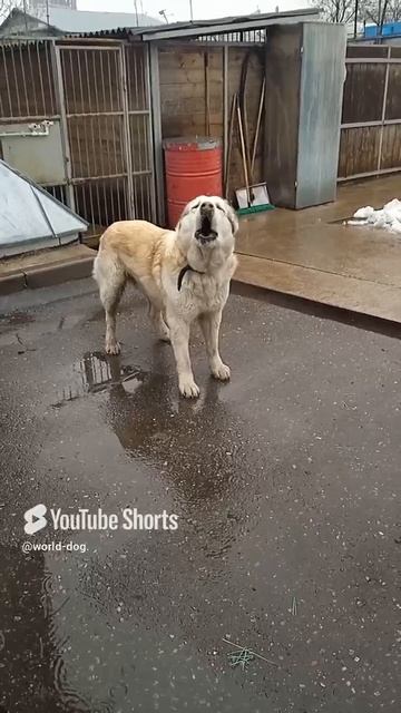 1000003148.mp4