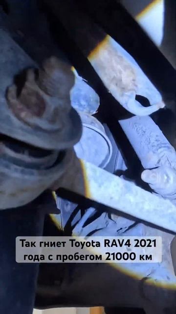 Так гниет и ржавеет #toyota #rav4 . #автоподборкупитачку #автоподбор #тойота #automobile