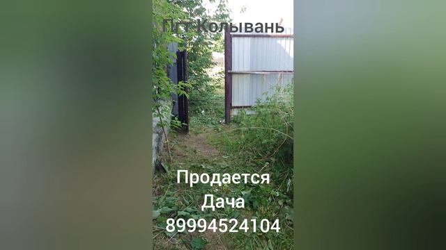 Колывань дом