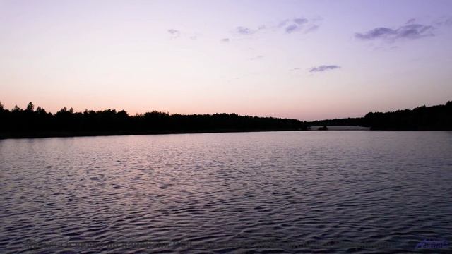 Лес под таким звуком кажется бесконечным и живым - Negative Ecstasy -- Blue Sky Moon -- I Used to Bu