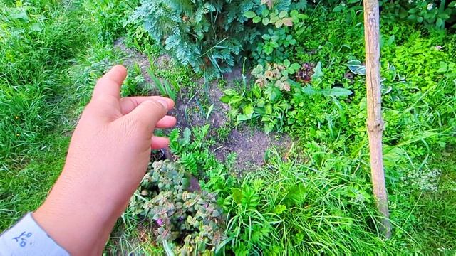 ЗАКАЗ С Валдберис //угадайте что купила //обзор
