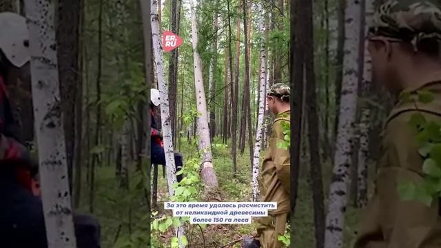 Волонтерский лагерь Единой России уже месяц помогает спасать леса Иркутской области #помощь #регионы