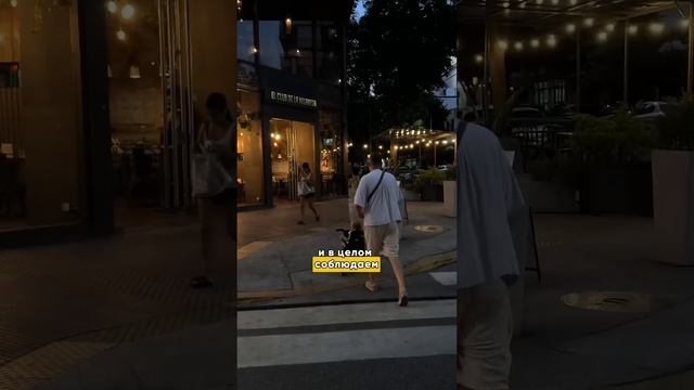 Жизнь на самом опасном континенте планеты #blacksmithfamily