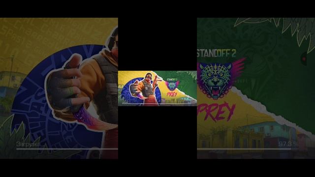 1000008838.mp4
