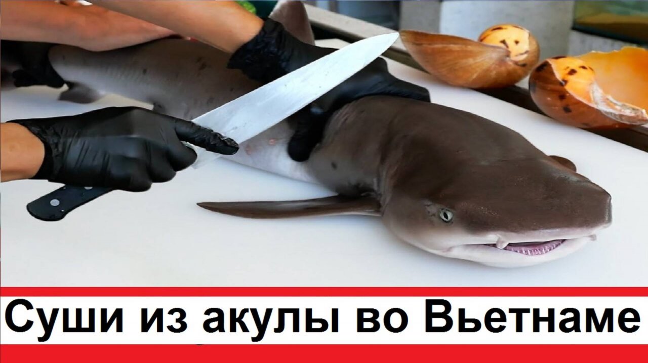 Приготовили суши из морской акулы - обычное блюдо на улицах во Вьетнаме
