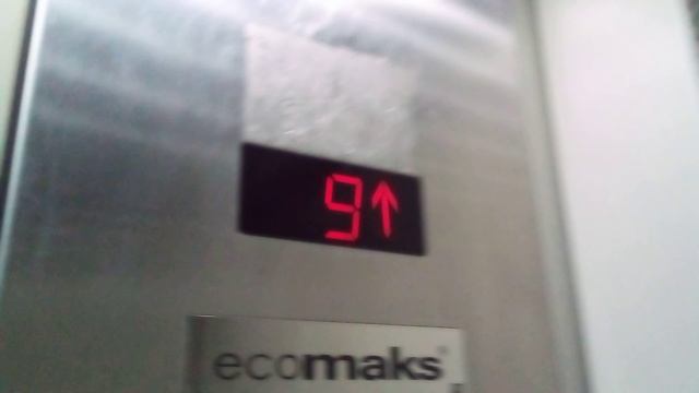 лифт "ЩЛЗ" Ecomaks
