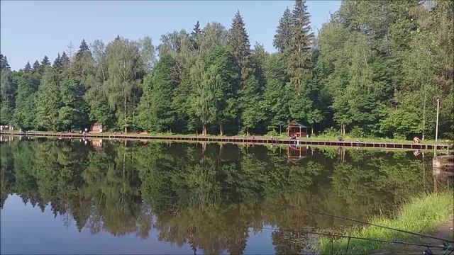 Утренний обзор с нижнего водоёма. Клёвое место, Лосиный остров.