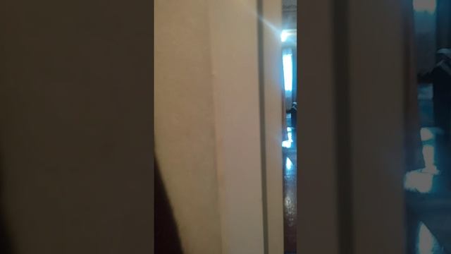 с. Самарино, ул. Юбилейная, контактное лицо Наталья 89036425016
