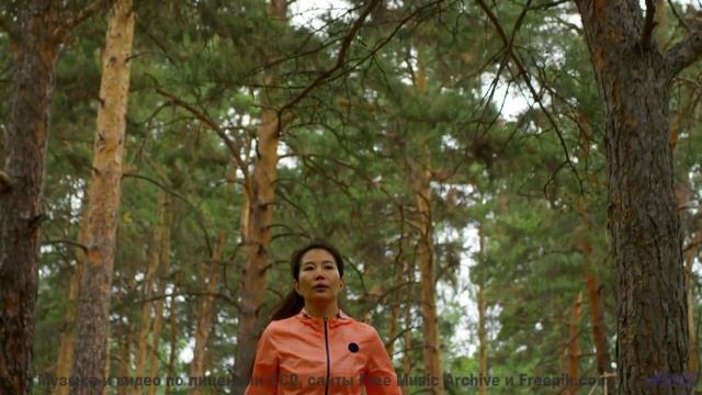 Леса поют, а сердце замирает при этом треке - По местам -- Фиорд -- Невзялазь