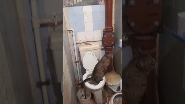 1000007975.mp4