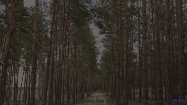 Каждая сцена бьёт по чувствам мощнее любого фильма - Soul Purpose  Soularflair -- Independent Music