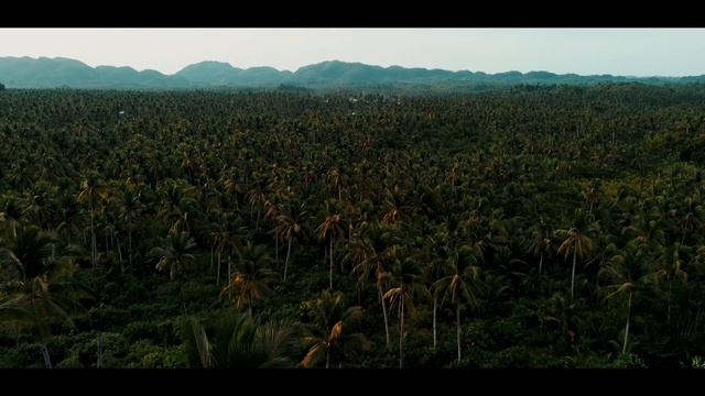 Exploring The Philippines I Cinematic Travel Video