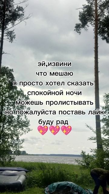 спокойной ночи