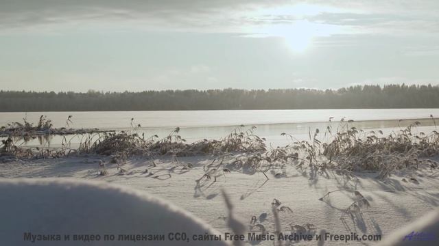 Никто не ожидал такого финала! - Thoughts Growing Mold -- HoliznaCC0 -- Forager Pt 2