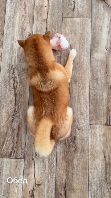 Очень вкусная косточка