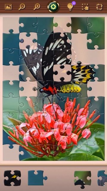 Пазлы для взрослых и детей 🦋