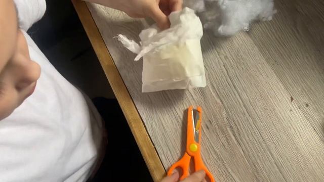 Распаковка подарочного суккулентов от группы Succulent Addicted Суккуленты