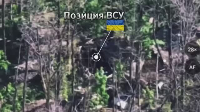 ⚡️Тише мыши, кот на крыше. Охота на боевиков всу !!!