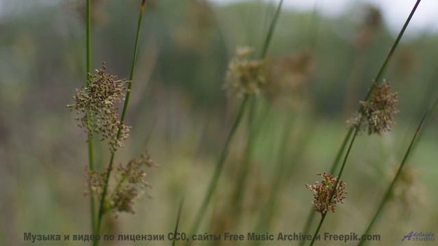 Этот саунд идеален для путешествий по планете - Even After All These Years -- HoliznaCC0 -- Left Ove