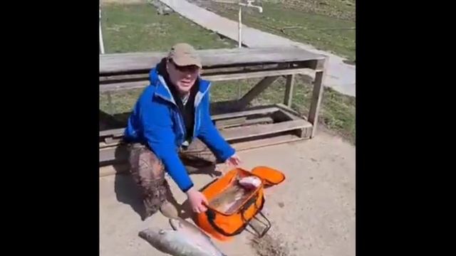 Как дела? Только положительные эмоции после рыбалки на "Верхнелебяжье fish resort".