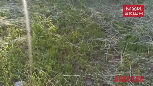 В Благовещенске ливневку полностью забили скошенной травой