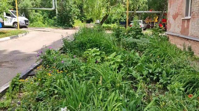 Благоустройство улицы Шелковичная
