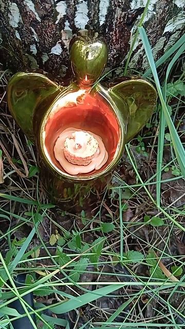 Шепоток#shorts