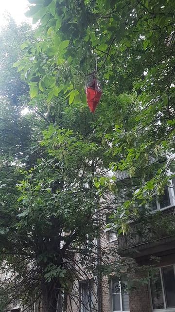 Сколько ещё провисит, как думаете?