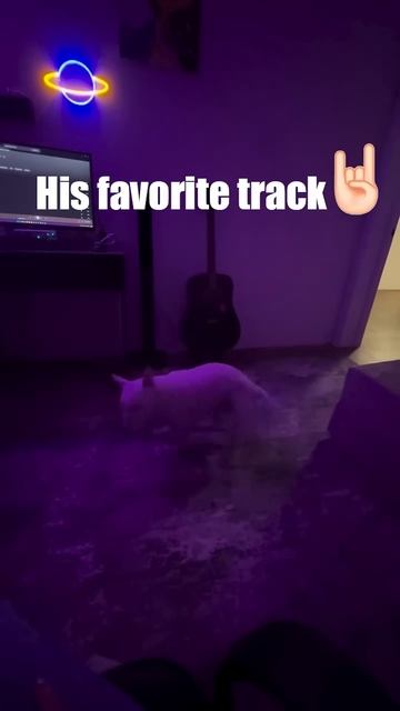 Proof That Even Dogs Love Metal