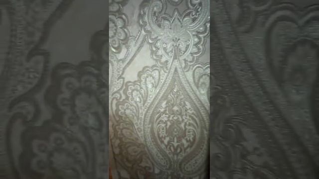 WhatsApp Video 2025-06-14 at 22.33.09