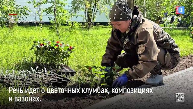 В Надыме до конца 2025 года появится более 176 тысяч саженцев