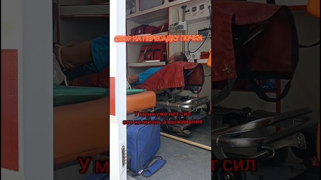 Сбор на пересадку почки