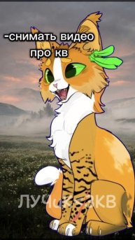 хех наконец-то я сняла кв видео)