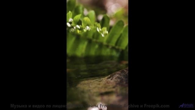 Звуки, используемые для клонирования сознания - это реально - Amber Glow -- Scott Holmes Music -- In